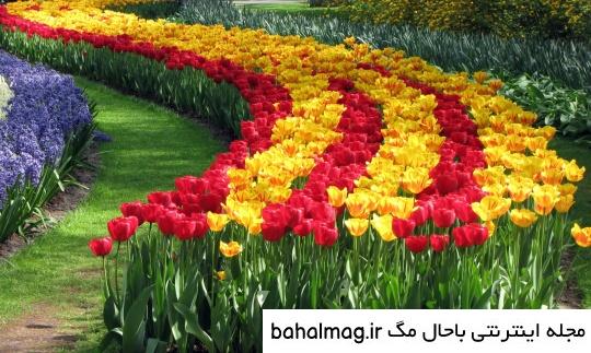 عکس شاد از طبیعت تازه