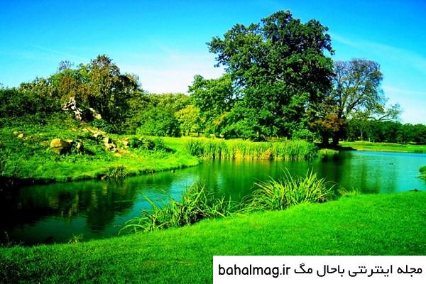 عکسهای شاد طبیعت