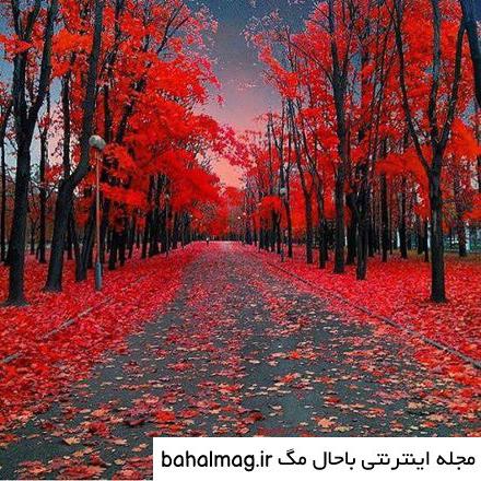تازه ترین عکس طبیعت زیبا خاص