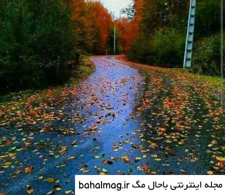 عکس طبیعت زیبا خاص دانلود