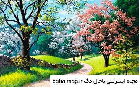 عکس طبیعت زیبا خاص
