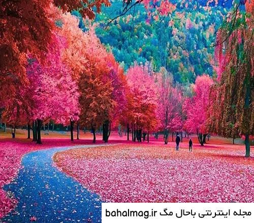 مجموعه عکس طبیعت زیبا خاص