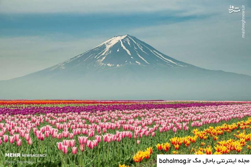 عکس طبیعت زیبا خارجی