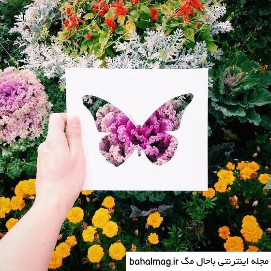 عکس طبیعت زیبای خارج با کیفیت