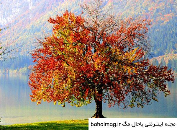 به روز ترین عکس طبیعت زیبای فصل پاییز