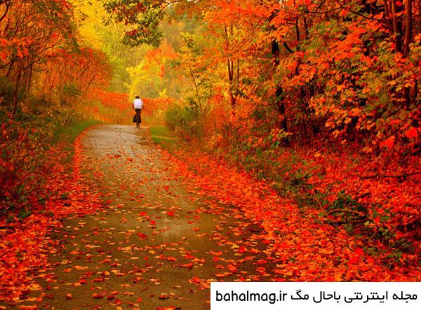 بهترین عکس طبیعت زیبای فصل پاییز