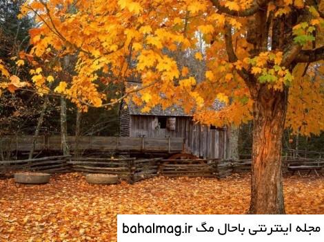 جذاب ترین عکس طبیعت زیبای فصل پاییز