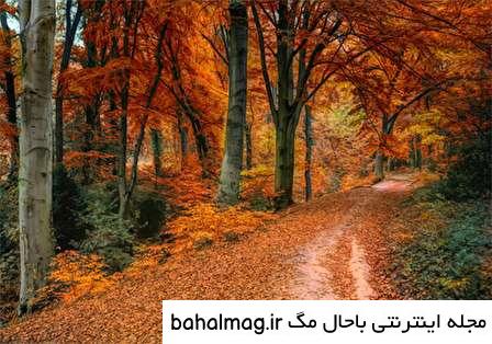 دانلود عکس طبیعت زیبای فصل پاییز