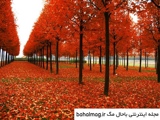 عکس طبیعت زیبای فصل پاییز خاص