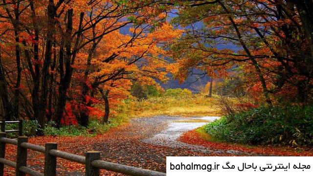 عکس طبیعت زیبای فصل پاییز دانلود