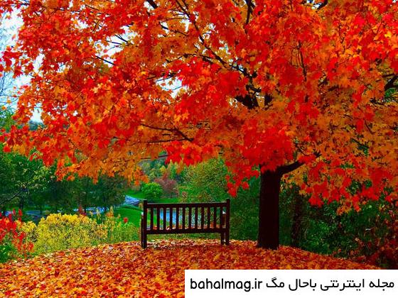 عکس های زیبای طبیعت فصل پاییز