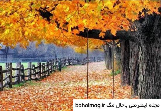 ناب ترین عکس طبیعت زیبای فصل پاییز