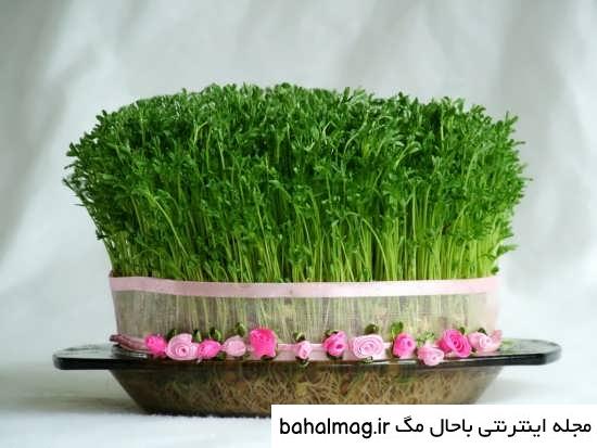 ناب ترین عکس طبیعت زیبای نوروزی