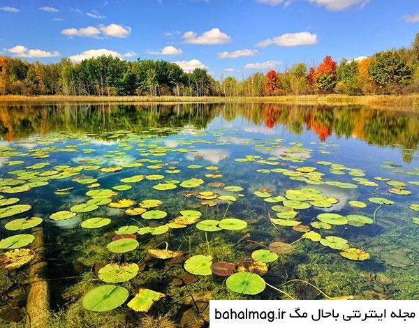 جالب ترین عکس طبیعت واقعی