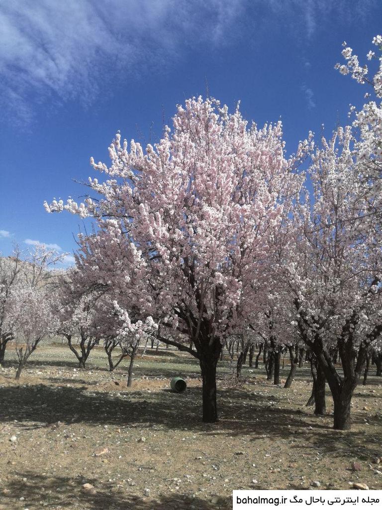 عکس طبیعت واقعی ایران