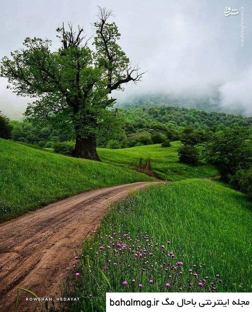 عکس طبیعت واقعی دانلود