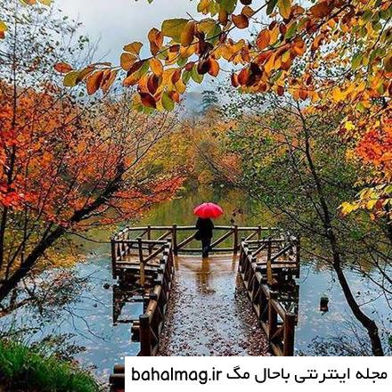 عکس طبیعت واقعی شمال