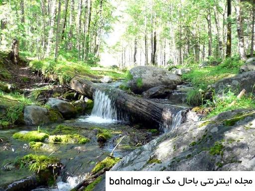 عکس طبیعت واقعی پاییز