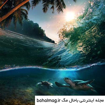 عکس طبیعت واقعی پاییزی