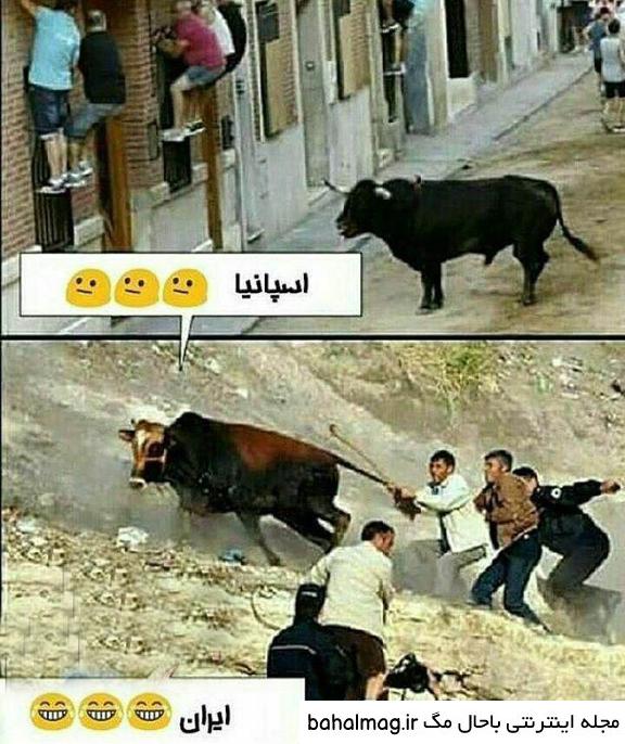 عکس طنز سال گاو به روز