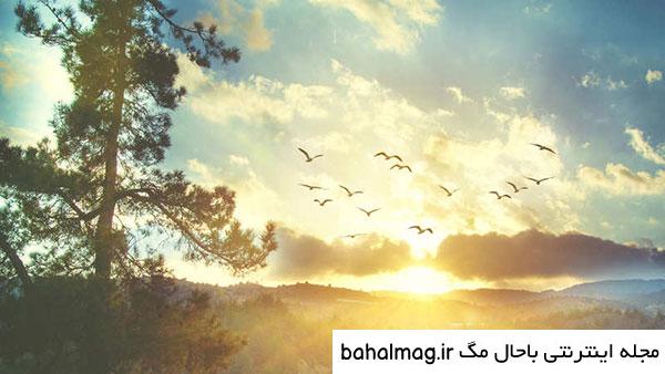 خاص ترین عکس منظره طلوع خورشید
