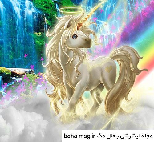 عکس های زیبا اسب تک شاخ