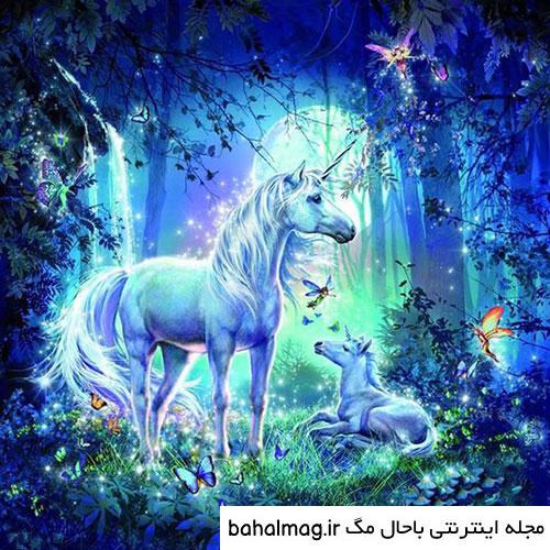 عکس های زیبا تک شاخ با کیفیت