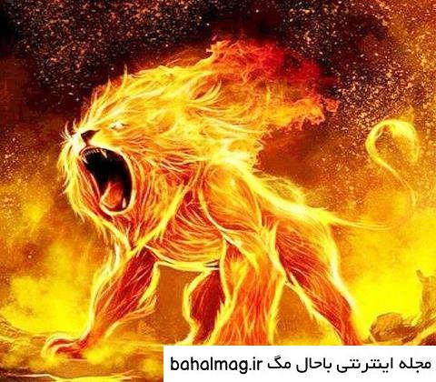 بهترین عکس گرگ آتشین