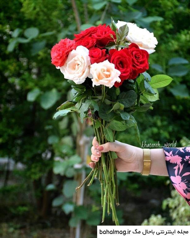 عکس گل باحال مگ