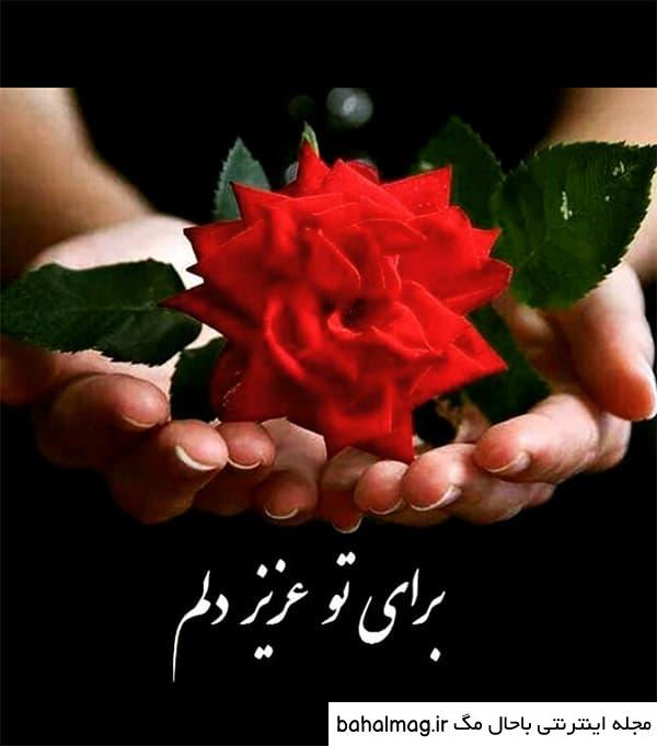 عکس گل به روز