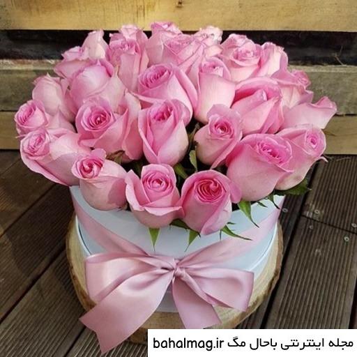 عکس گل خاص