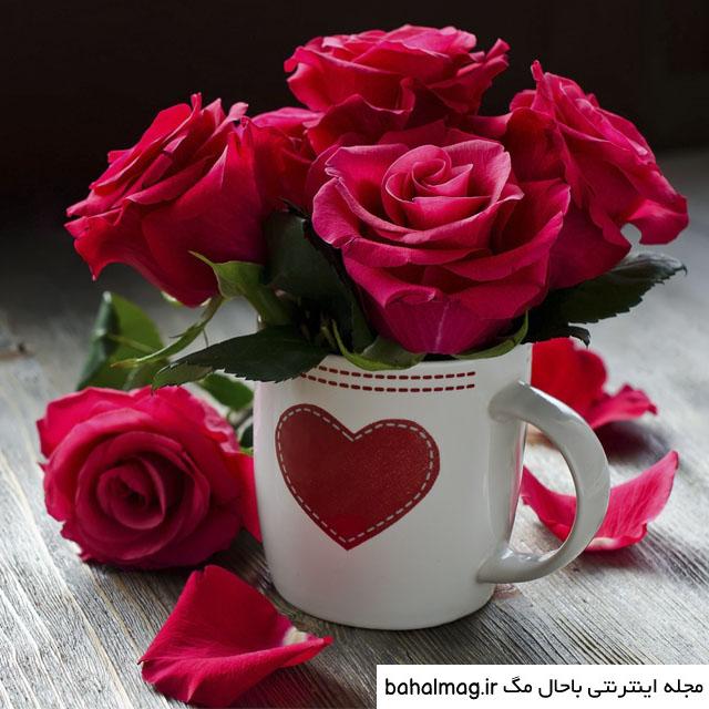 عکس گل زیبا