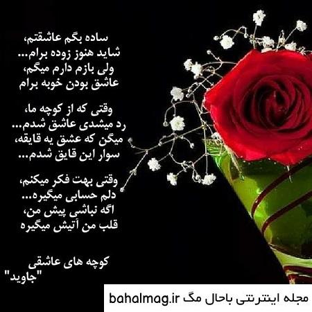 عکس گل های زیبا
