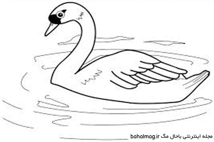 نقاشی-قو-ساده