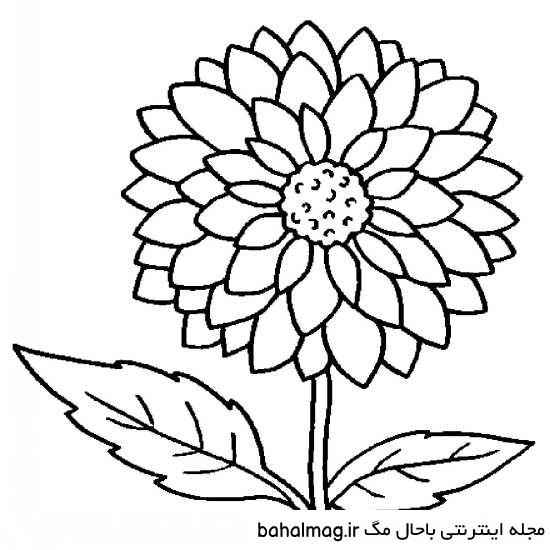 نقاشی گل قشنگ خاص