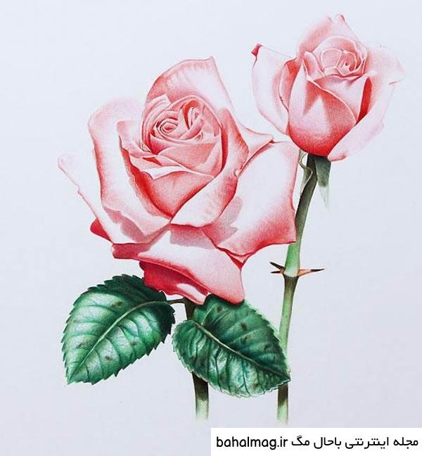 نقاشی گل قشنگ زیبا