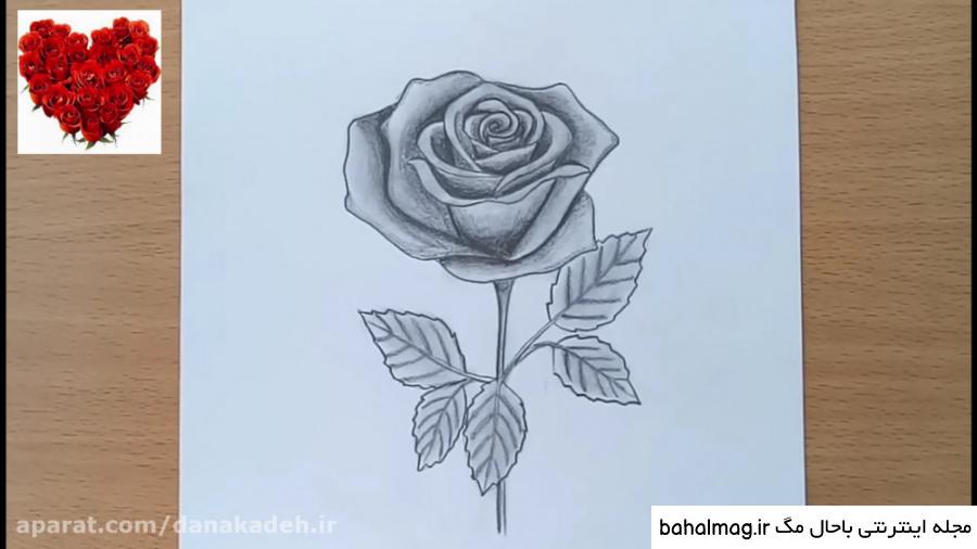 نقاشی گل قشنگ ساده