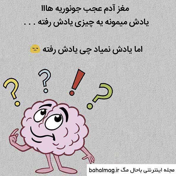 یه عکس زیبا برای پروفایل واتساپ