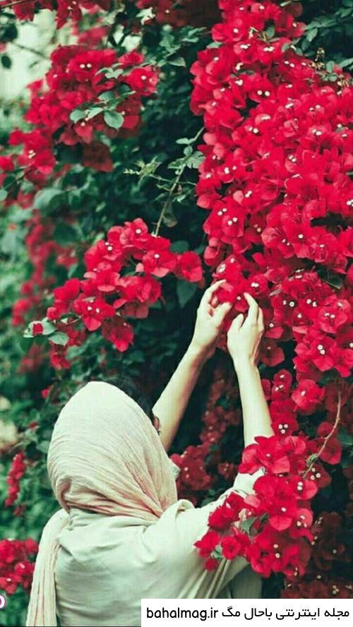 یک عکس زیبا برای استوری واتساپ