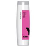 شامپو Colorful ترمیم و محافظت کننده موهای رنگ شده 250 میل Yunsey