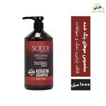 شامپو سر سولکس مدل Organic Formula حجم 1000 میل
