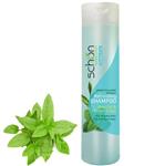 شامپو طراوت بخش شون مدل Refreshing  حجم 250 میلی لیتر