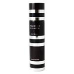 Yves Saint Laurent Rive Gauche pour Homme  ایف سنت لارنت ریو گاش پور هوم