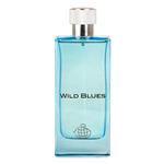 ادو پرفیوم مردانه فراگرنس ورد مدل Wild Blues حجم 115 میلی لیتر