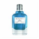 ادوتویلت مردانه آنیل مدل Bleu de Chanel سری اکونومیک حجم 100 میلی لیتر