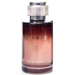 ادوپرفیوم مردانه فرنچ اتیتود French Attitude مدل SHADOW حجم 100 میلی لیتر