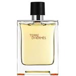 ادکلن مردانه تق هرمس 100 میل فرگرنس ورد fragrance world d’hemmes