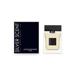 ادکلن پرفیوم مردانه پرستیژ 100 میل مدل SILVER SCENT MAN