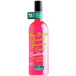 نرم کننده نیچرز پارادایس Natures Paradise مدل میوه آکای بری و گوارانا 375ml