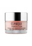 کلینیک ژل آبرسان اصل مویسچر سرج ۷۲ ساعته Clinique 75ml